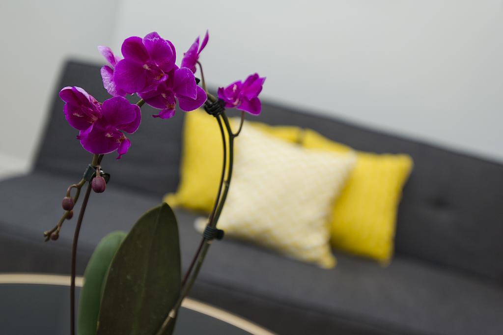 Market Street Apartments - City Centre Modern 1Bedroom Apartments With New Wifi And Very Close To Tram Nottingham Eksteriør billede
